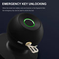 Smart Door Knob - Biometric, Keyless Entry, TUYA App Control, Rechargeable